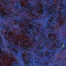 Dark matter in the universe