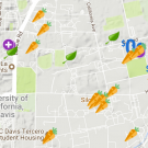 Screenshot of Food Access Map