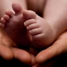 Adult hands hold baby's feet