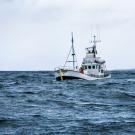 fishing boat in open ocean