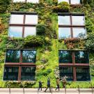 Plants grow on sustainable building