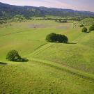 Rolling lands of green.