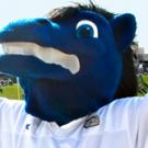 Aggie mascot Gunrock
