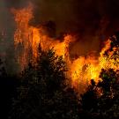 Photo: Wildfire at night