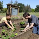 Photo: Students working in demonstration garden.