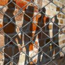 Shadows of people behind fence