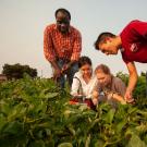 Faculty member and students in agricultural field
