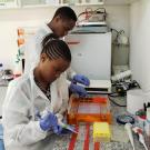 Scientists in laboratory