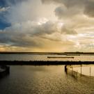 Yolo Bypass floodplain and experimental enclosures