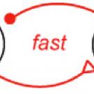 Excitatory (E) neurons hold the memory. If their activity begins to slip, fast negative feedback (red) mediated by inhibitory (I) neurons can correct this slip before slower positive feedback loops (blue) bring the circuit back into balance.