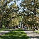 View of Mrak Hall mall walk to the UC Davis administration building with many trees