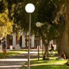 Students study on Mrak Mall.