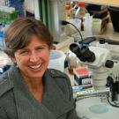 Pam Ronald looks at camera, from lab bench with micropscope.