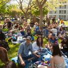 picnic day events at uc davis