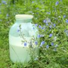 milk in jar