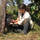 Woman scientist in forest