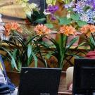 Photo: Cliff Saron, left, gazes at Dalai Lama, with computer screens and flowers