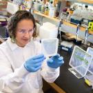 Scientist looks at plant roots