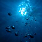 View in ocean looking up with bubbles