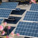 solar panels over cars in parking lot