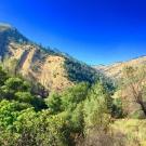 Stebbins Cold Canyon reserve landscape