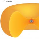 Planet, disk and planet and synestia