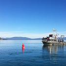 Boat floating on Lake Tahoe 
