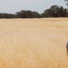 Man in a hat walks through a Northern California foothills