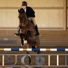 A woman on a horse jumps over an obstacle during a competition.