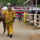 Firefighter with horse.