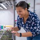 Smiling Brandie Quarles-Chidyagwai tends seedling trays under grow lights in a greenhouse lab