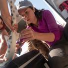 Woman takes sample from shark while another woman holds the shark