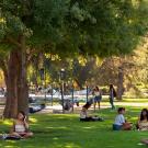 Grassy Quad with students sitting, studying or talking.