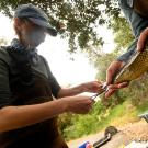 people measuring fish