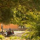 Students sit at bench near Robert Mondavi Institute on a sunny day.