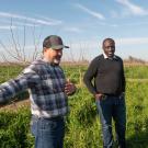 ullseye Farms orchard manager Nick Edsall, left, with UC Davis Agricultural Water Center Director Isaya Kisekka. Kisekka is researching the ability of cover crops to increase soil moisture and groundwater recharge. (Greg Urquiaga/UC Davis) They stand in a row of green cover crops in an orchard full of young pistachio trees.