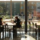 Students studying at sunlit tables by large windows overlooking a busy campus quad