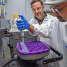 Two scientists pipetting into a purple microplate at a lab bench, wearing gloves and safety glasses
