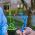 In center, a pot plant held by a person in a light blue shirt, and a blue plastic model held by someone in a dark blue shirt. Faces are not visible. 