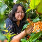 Person with glasses among lush green plants touching an orange cluster of flowers