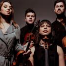 Four classical musicians holding violins in a studio portrait, serious expressions