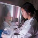A student in a lab works with samples