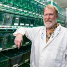 White man with ginger hair and beard wearing a white labcoat standing in front of rows of fish tanks. 