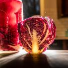 Red cabbage being fermented in vinegar in a clear jar. A new UC Davis study shows that having fermented food like sauerkraut could be good for gut health. (Hector Amezcua / UC Davis)