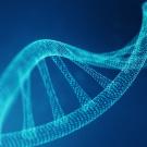 Strand of DNA light blue on darker blue background