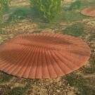 Illustration of a flat, oval, ribbed, orange/brown object on a sea floor with sand and weeds. 