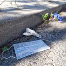 Discarded face mask in gutter