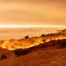 Orange smokey sky with marine layer and line of wildfire in California coastal hills