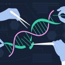 Graphic shows four hands snipping or handline a piece of DNA. 