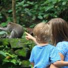 Woman and child view wild primate parent and child among foliage.